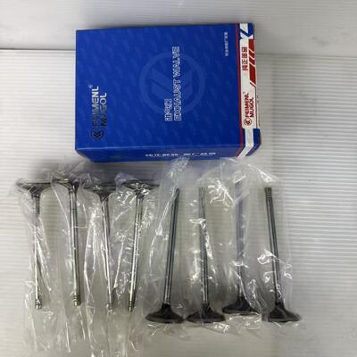 سعر جيد صمام استيعاب 1003101RAA عالي القوة لمحركات VM425 و VM428 و Landwind X8 4D25 ، مقاومة ارتداء و حرارة متفوقة. الانترنت